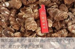 绵阳北川羌药产业园投产，年加工中药材万吨，助力中医药产业发展